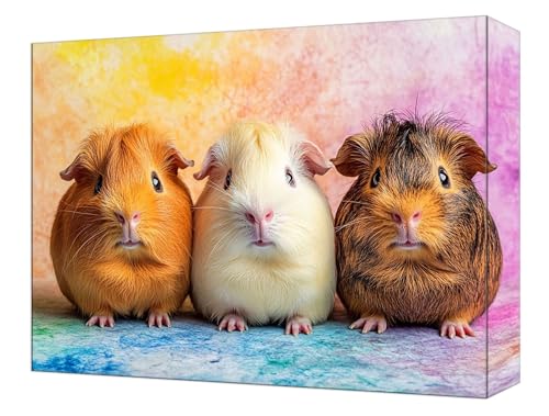 Malen Nach Zahlen Farbe Maus Malen Nach Zahlen Kinder ab 7, DIY Set Erwachsene, mit Pinseln und Acrylfarben, Knitterfreie Leinwand Kit, Kreatives für Erwachsene, Home Deko 50x70cm (Ohne Rahmen) T-76 von Tinnoon