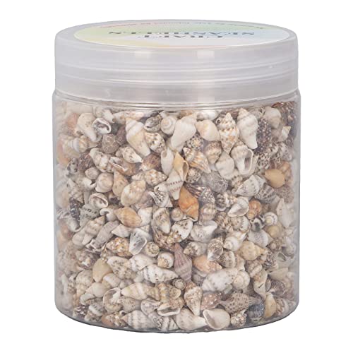 1 Dose Muschel Perle Tiny Sea Shells Ocean Beach Natural Spiral Seashells Craft Charms für DIY Fisch Tank Landschaftsbau Drift Flasche Dekoration von Tissting