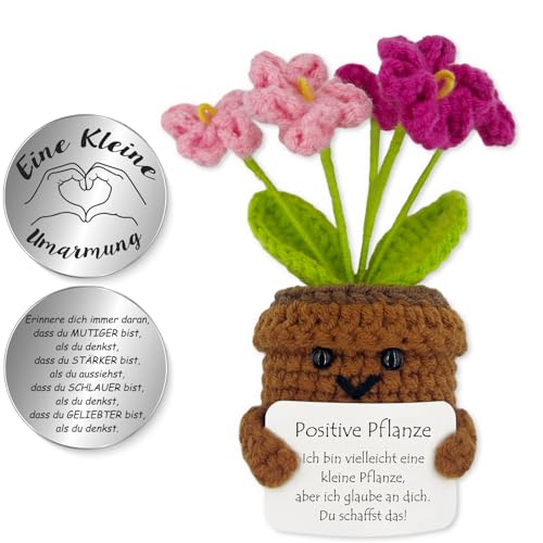 Tixlux Pocket Hug Positive Pflanze, Kreative Strickwolle Pflanze Puppe und Kleine Umarmung Glücksbringer, Mutmacher Geschenk, Schulabschluss Geschenk, Abschiedsgeschenk (Vergissmeinnicht Rosa) von Tixlux