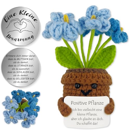 Tixlux Pocket Hug Positive Pflanze, Kreative Strickwolle Pflanze Puppe und Kleine Umarmung Glücksbringer, Mutmacher Geschenk, Schulabschluss Geschenk, Abschiedsgeschenk (Vergissmeinnicht Blau) von Tixlux