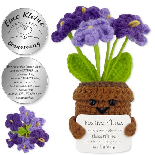 Tixlux Pocket Hug Positive Pflanze, Kreative Strickwolle Pflanze Puppe und Kleine Umarmung Glücksbringer, Mutmacher Geschenk, Schulabschluss Geschenk, Abschiedsgeschenk (Vergissmeinnicht Lila) von Tixlux