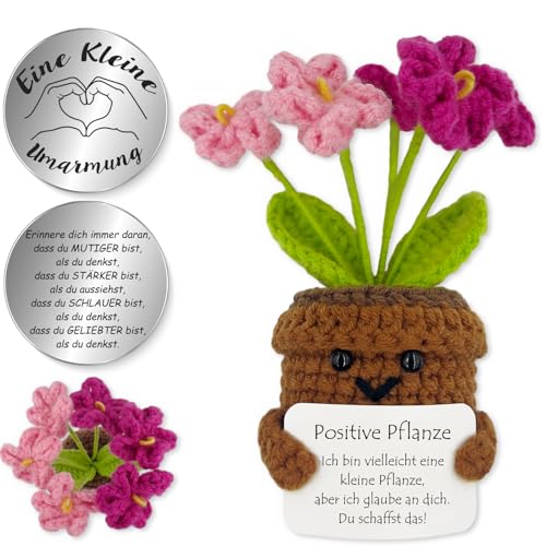 Tixlux Pocket Hug Positive Pflanze, Kreative Strickwolle Pflanze Puppe und Kleine Umarmung Glücksbringer, Mutmacher Geschenk, Schulabschluss Geschenk, Abschiedsgeschenk (Vergissmeinnicht Rosa) von Tixlux