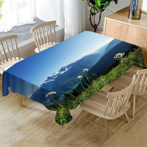Tischdecke Outdoor Berg Tischdecken Abwaschbar 3D Natürliche Landschaft Tischdecke Wetterfest Wasserdicht für Party Biertisch, 100x100 cm E/F2211 von Tizhweqo