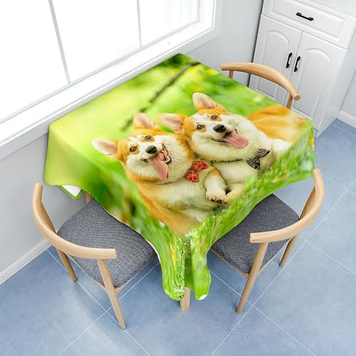 Tischdecke Outdoor Corgi Tischdecken Abwaschbar 3D Haustier Hund Tischdecke Wetterfest Wasserdicht für Party Biertisch, 140x200 cm Q.P2157 von Tizhweqo