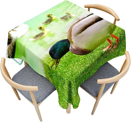 Tischdecke Outdoor Ente Tischdecken Abwaschbar 3D Baumtiere Tischdecke Wetterfest Wasserdicht für Party Biertisch, 90x90 cm Q.P2042 von Tizhweqo