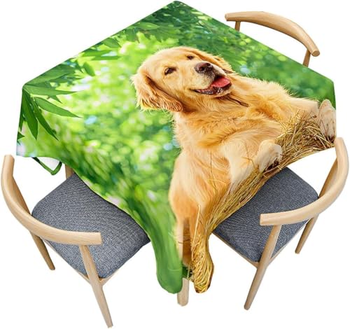 Tischdecke Outdoor Golden Retriever Tischdecken Abwaschbar 3D Hund Tischdecke Wetterfest Wasserdicht für Party Biertisch, 140x240 cm Q.P1198 Tischdecke Outdoor Golden Retriever Tischdecken Abwaschbar 3D Hund Tischdecke Wetterfest Wasserdicht für Party Biertisch, 140x240 cm Q.P1198 von Tizhweqo