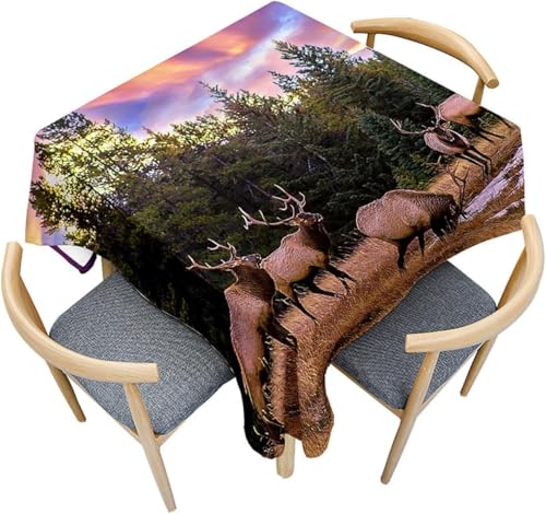 Tischdecke Outdoor Hirsch Tischdecken Abwaschbar 3D Wald Tischdecke Wetterfest Wasserdicht für Party Biertisch, 140x140 cm Q.P1784 Tischdecke Outdoor Hirsch Tischdecken Abwaschbar 3D Wald Tischdecke Wetterfest Wasserdicht für Party Biertisch, 140x140 cm Q.P1784 von Tizhweqo