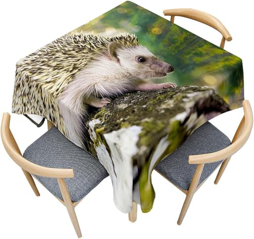 Tischdecke Outdoor Igel Tischdecken Abwaschbar 3D Niedliche Tiere Tischdecke Wetterfest Wasserdicht für Party Biertisch, 140x300 cm Q.P1180 Tischdecke Outdoor Igel Tischdecken Abwaschbar 3D Niedliche Tiere Tischdecke Wetterfest Wasserdicht für Party Biertisch, 140x300 cm Q.P1180 von Tizhweqo