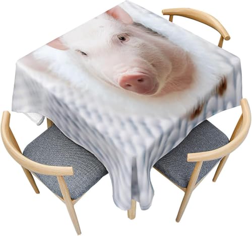 Tischdecke Outdoor Schwein Tischdecken Abwaschbar 3D Niedliche Tiere Tischdecke Wetterfest Wasserdicht für Party Biertisch, 140x240 cm Q.P1738 Tischdecke Outdoor Schwein Tischdecken Abwaschbar 3D Niedliche Tiere Tischdecke Wetterfest Wasserdicht für Party Biertisch, 140x240 cm Q.P1738 von Tizhweqo