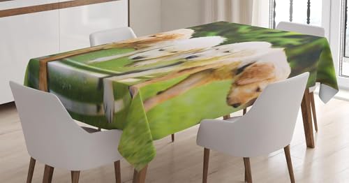 Tischdecke Outdoor Süßer Hund Tischdecken Abwaschbar 3D Interessant Tischdecke Wetterfest Wasserdicht für Party Biertisch, 140x140 cm Q/P5014 Tischdecke Outdoor Süßer Hund Tischdecken Abwaschbar 3D Interessant Tischdecke Wetterfest Wasserdicht für Party Biertisch, 140x140 cm Q/P5014 von Tizhweqo