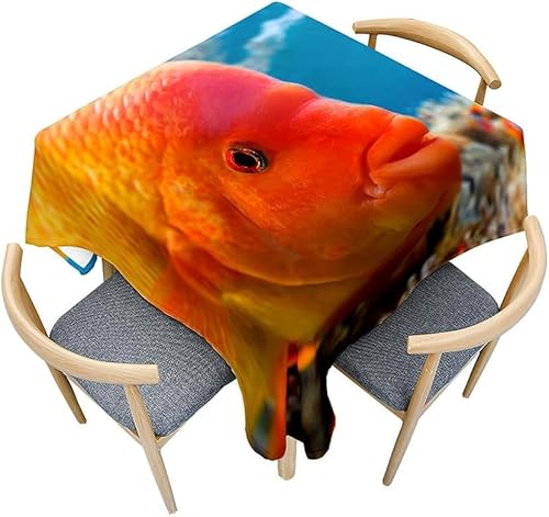 Tischdecke Outdoor Zierfisch Tischdecken Abwaschbar 3D Fische Tischdecke Wetterfest Wasserdicht für Party Biertisch, 100x100 cm Q.P2493 Tischdecke Outdoor Zierfisch Tischdecken Abwaschbar 3D Fische Tischdecke Wetterfest Wasserdicht für Party Biertisch, 100x100 cm Q.P2493 von Tizhweqo