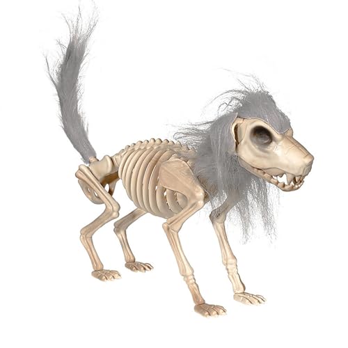 Tkidplw Stabiles Halloween-Hunde-Skelett-Grundstück, tragbares Spukhaus-Dekor für Garten und Zuhause, realistische Tier-Skelett-Dekorationen Tkidplw Stabiles Halloween-Hunde-Skelett-Grundstück, tragbares Spukhaus-Dekor für Garten und Zuhause, realistische Tier-Skelett-Dekorationen von Tkidplw