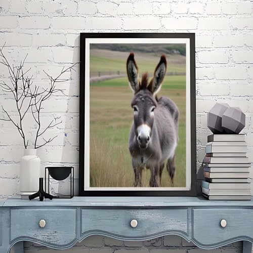 Diamond Painting Kinder Esel Diamond Painting mädchen Geschenke 8 jahre 5D Diamant Malerei Tier Diamant Malsets Bilder Full Crystal Art Basteln Erwachsene für Home Wand Décor Geschenke60x80cm, A-968 von Tloome