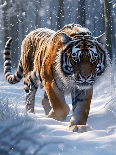 Malen Nach Zahlen Tiger Malen Nach Zahlen Erwachsene Kinder Winter Paint by Numbers Adult, DIY Handgemalt öLgemäLde Mit 3 Pinsel Acrylfarbe Knitterfreie Leinwand für Home frühlingsdeko, 50x70cm A-892 Malen Nach Zahlen Tiger Malen Nach Zahlen Erwachsene Kinder Winter Paint by Numbers Adult, DIY Handgemalt öLgemäLde Mit 3 Pinsel Acrylfarbe Knitterfreie Leinwand für Home frühlingsdeko, 50x70cm A-892 von Tloome
