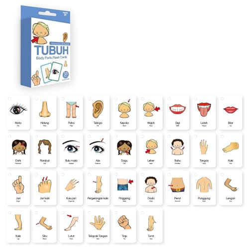 33pcs Bahasa Indonesien Englisch Zweisprachige Karte Für Kinder Wortschatz Und Obst Kognative Karten Bildungspädagogische Karteikarten Für Kinder 33pcs Bahasa Indonesien Englisch Zweisprachige Karte Für Kinder Wortschatz Und Obst Kognative Karten Bildungspädagogische Karteikarten Für Kinder von Tmboryuu