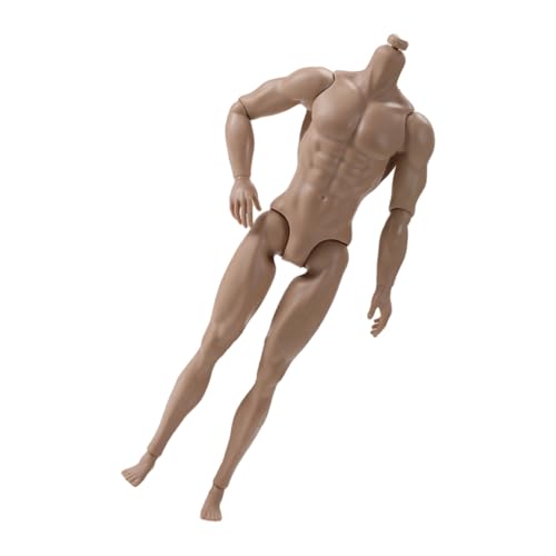 Muskular 12 20 Zoll Männlicher Puppenkörper 13 Artikulierte Gelenke Realistische Männliche Körperfigur Für Aktion Display Kunstprojekt Hohe Flexibilität Für Die Tanzprobe von Tmboryuu