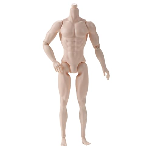 Muskular 12 20 Zoll Männlicher Puppenkörper 13 Artikulierte Gelenke Realistische Männliche Körperfigur Für Aktion Display Kunstprojekt Hohe Flexibilität Für Die Tanzprobe von Tmboryuu