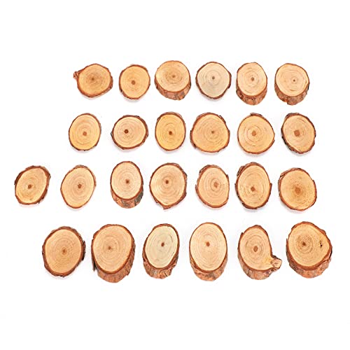 25pcs Kiefer Oval Stück Set, Natürliche Holzchips für Malerei und Dekoration, für DIY Künstliche Kunst und Festliche Hausprojekte 25pcs Kiefer Oval Stück Set, Natürliche Holzchips für Malerei und Dekoration, für DIY Künstliche Kunst und Festliche Hausprojekte von Tnfeeon