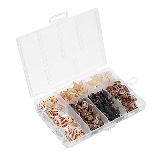 Toddmomy 1 Schachtel Conch Shell Aquarium Dekoration Mischsortiment Natürliche Muscheln für Fischbecken für Süß und DIY Aquariengestaltung Sicher für Fische und von Toddmomy