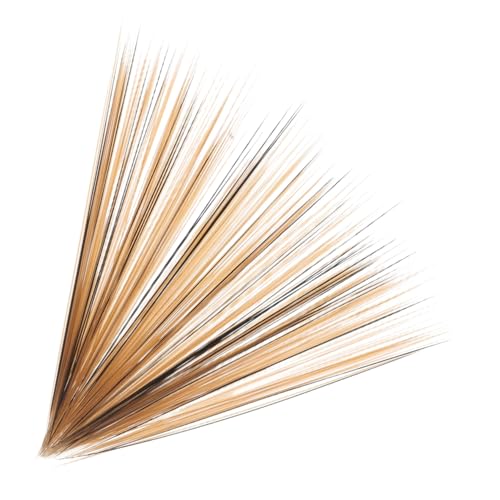 Toddmomy 1 Simulierte Katzenschnurrhaare bastelbedarf simulierte Whiskers falsche Schnurrhaare verrückte Schnurrhaare Katzenschnurrhaare zum Nadelfilzen Filzschnurrhaare Plastik Light Brown Toddmomy 1 Simulierte Katzenschnurrhaare bastelbedarf simulierte Whiskers falsche Schnurrhaare verrückte Schnurrhaare Katzenschnurrhaare zum Nadelfilzen Filzschnurrhaare Plastik Light Brown von Toddmomy