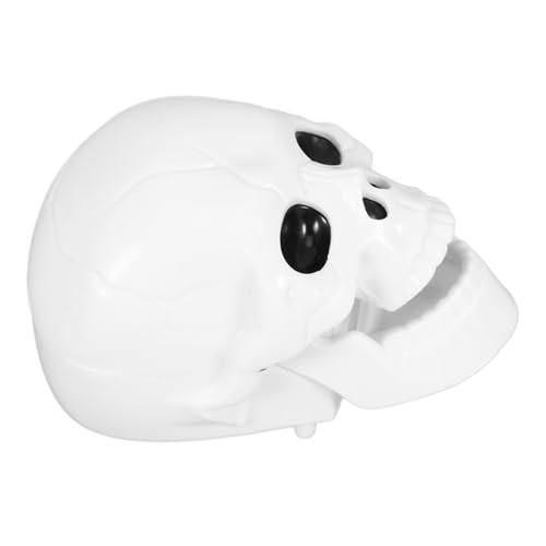 Toddmomy Halloween Skelett Aufziehspielzeug Lustiges Halloween für Sicheres und Langlebiges mit Runden Kanten für Partytüten und Halloween Dekoration Toddmomy Halloween Skelett Aufziehspielzeug Lustiges Halloween für Sicheres und Langlebiges mit Runden Kanten für Partytüten und Halloween Dekoration von Toddmomy