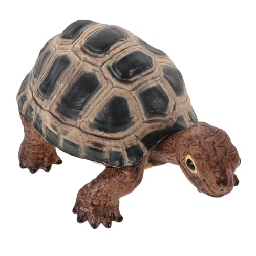 Toddmomy Schildkröten Realistisches Modell für Vielseitig Einsetzbar Tischdekoration oder Interaktives für Aquariumdekoration und Kreative Bastelprojekte Toddmomy Schildkröten Realistisches Modell für Vielseitig Einsetzbar Tischdekoration oder Interaktives für Aquariumdekoration und Kreative Bastelprojekte von Toddmomy