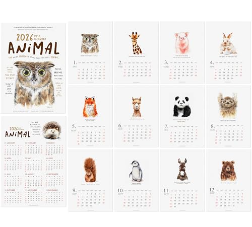 Tischkalender 2026 – Tier, Hund, Aquarell, Monatskalender mit motivierenden Zitaten, hergestellt in den USA, 12,7 x 17,8 cm, mit Staffelei für Zuhause, Büro, Schule, Urlaub, Neujahrsgeschenk (Tiere von Todo Bien Design Inc.