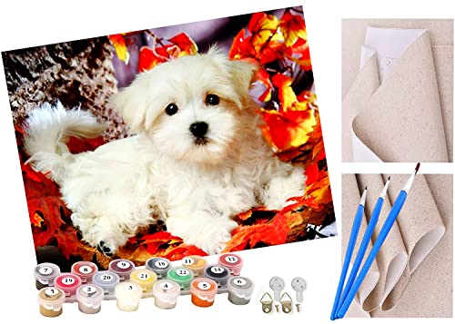 ToeTs Malen nach Zahlen maltesischer weißer Hund Erwachsene und Kinder DIY Ölgemälde Geschenk-Kits Geschenk vorgedruckte Leinwand Kunst Home Wandkunst Decoration Geschenk von ToeTs