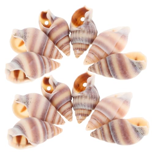Tofficu 100 Stück Muschelanhänger für DIY Schmuckherstellung Geformte Perlen für Armbänder Halsketten und Ohrringe Vielseitige Charms für Aquarium und Raumdeko Handgefertigte Accessoires von Tofficu