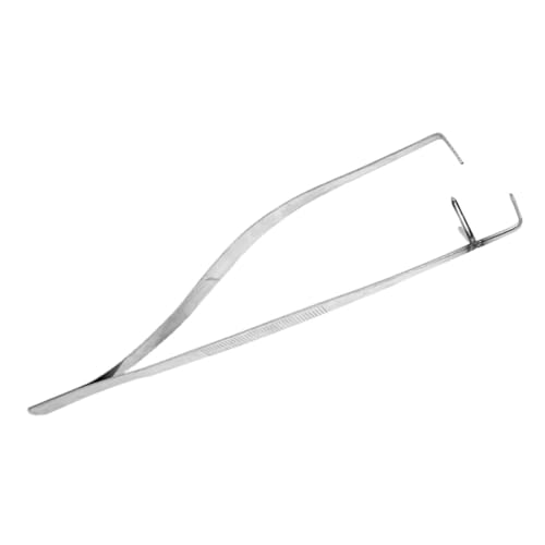 Tofficu Keramikpinzette Bildhauerwerkzeug Tiegel Kolben Zange Glasur Glasierte Töpferzange Tauchwerkzeug Für Ton Töpferwerkzeug Keramik Glasierter Clip Rostfreier Stahl Silver Tofficu Keramikpinzette Bildhauerwerkzeug Tiegel Kolben Zange Glasur Glasierte Töpferzange Tauchwerkzeug Für Ton Töpferwerkzeug Keramik Glasierter Clip Rostfreier Stahl Silver von Tofficu