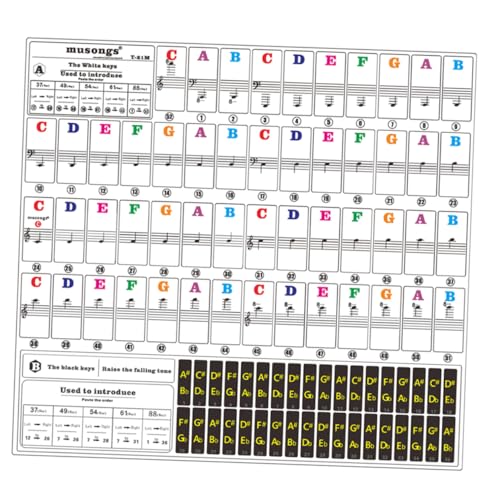 Tofficu Transparent Farbige Klavieraufkleber PVC Dünn Abnehmbar Lernhilfe für Anfänger Keyboard Klar Sichtbare Notenbeschriftung Praktisches Klavier Zubehör Geeignet für Elektronische von Tofficu