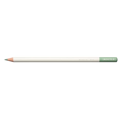 Tombow Farbstift IROJITEN | Farbe mist green | hochwertige wachsbasierte Mine mit hoher Farbbrillanz | Künstlerfarbstift für Profi- und Hobbykünstler [CI-RLG6], 1 Stück (1er Pack) von Tombow