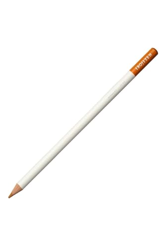 Tombow Farbstift IROJITEN | Farbe bamboo | hochwertige wachsbasierte Mine mit hoher Farbbrillanz | Künstlerfarbstift für Profi- und Hobbykünstler [CI-RD14] von Tombow