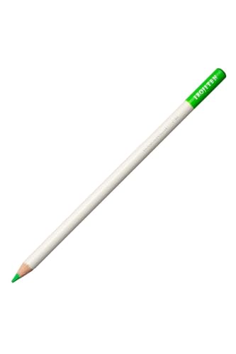 Tombow Farbstift IROJITEN | Farbe equatorial orange | hochwertige wachsbasierte Mine mit hoher Farbbrillanz | Künstlerfarbstift für Profi- und Hobbykünstler [CI-RF10] von Tombow