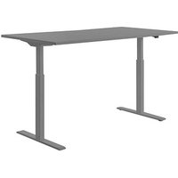 Topstar E-Table elektrisch höhenverstellbarer Schreibtisch grau rechteckig, T-Fuß-Gestell grau 160,0 x 80,0 cm von Topstar