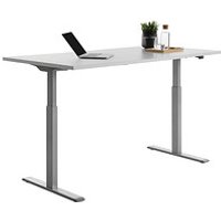 Topstar E-Table elektrisch höhenverstellbarer Schreibtisch lichtgrau rechteckig, T-Fuß-Gestell grau 160,0 x 80,0 cm von Topstar