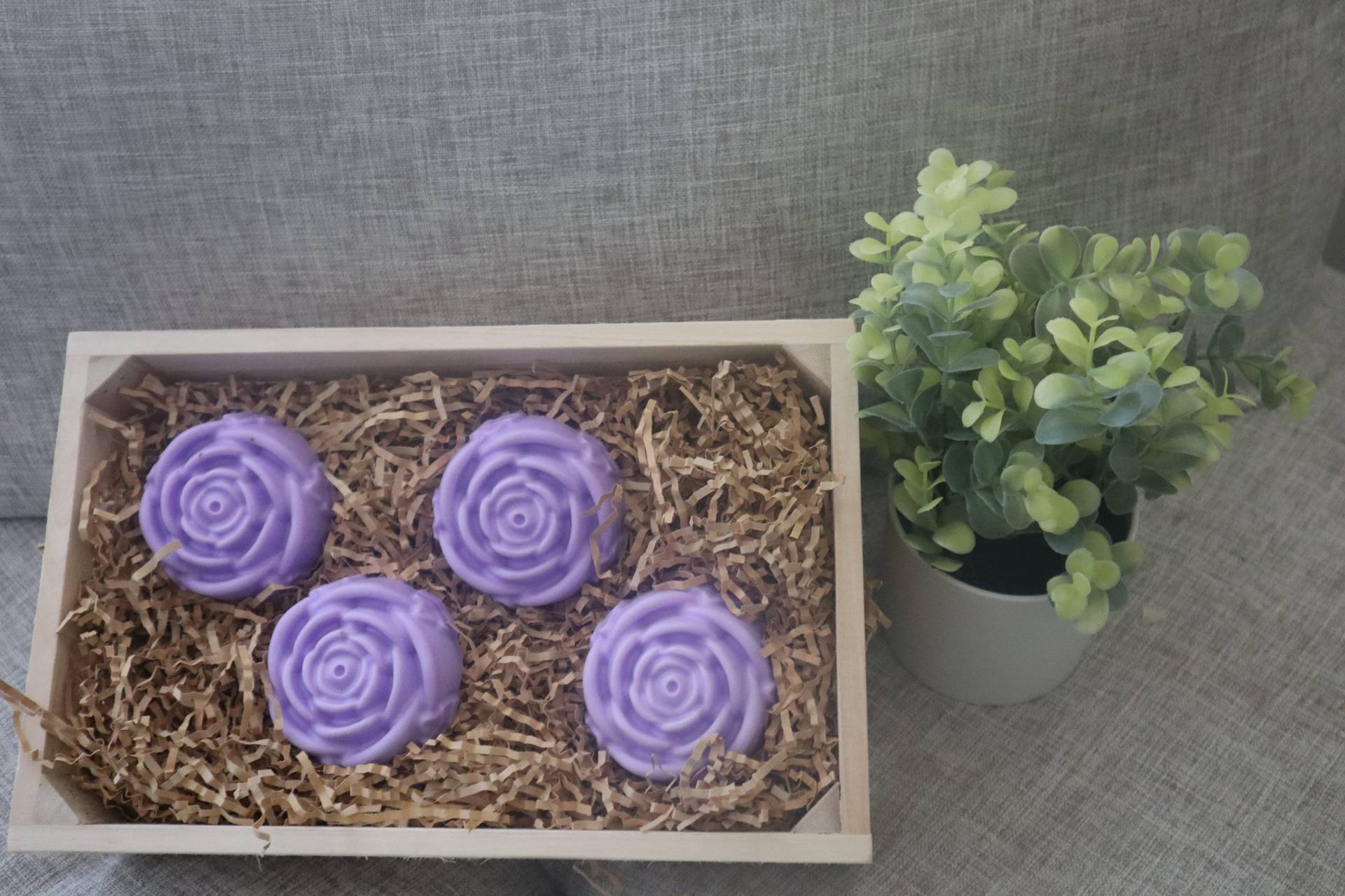 Lavendel Rose Lavendel Rose von ToroRoseCo
