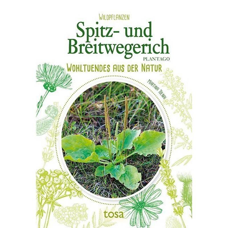 Spitz- Und Breitwegerich - Plantago - Martina Tolnai, Kartoniert (TB) von Tosa