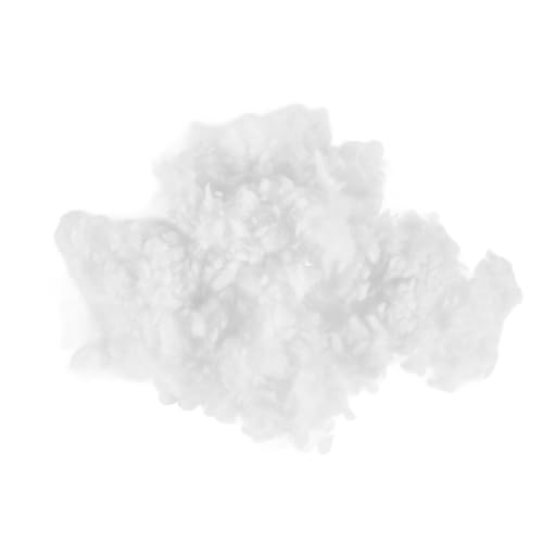Toyvian Füllung Aus Weicher Pp-Baumwolle für Puppen Luxuriöse Textur für Stofftiere Toyvian Füllung Aus Weicher Pp-Baumwolle für Puppen Luxuriöse Textur für Stofftiere von Toyvian