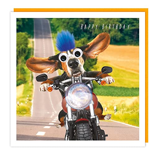 „Happy Birthday“: Hund mit Flaum und Wackelaugen Doppelkarte mit Umschlag Gr: 15,8x15,8cm von Tracks Publishing Ltd