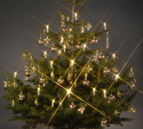 Trango 24-flammig 340047 Außen LED-Christbaumkerzen Outdoor Weihnachtskerzen warmweiß leuchtend – 24 Kerzen mit Stecksystem Außenbereich leuchtende Weihnachten - Christmas Candle LED auswechselbar von Trango