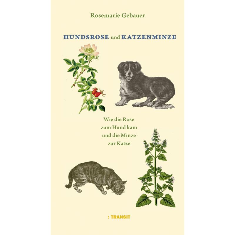 Hundsrose Und Katzenminze - Rosemarie Gebauer, Kartoniert (TB) von Transit Berlin