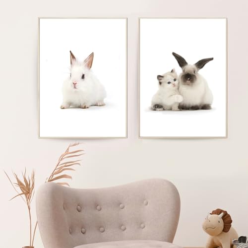 Trayosin 2er Poster Set Kinderzimmer, Premium Kaninchen Bilder Babyzimmer Deko Junge Mädchen, Kinderposter Set Wandbilder Kinderbilder Wandposter ohne Bilderrahmen (21x30cm) von Trayosin