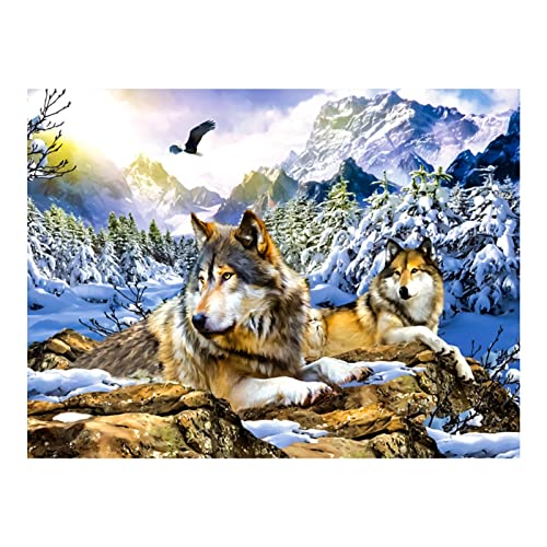 Trayosin 5D DIY Diamond Painting Schnee Wolf, Diamant Painting Tier Bilder Groß für Erwachsene Kinder, Diamant Malerei Set Kristallstrass-Stickerei, Kunsthandwerks-Zubehör, Wanddekoration (40x30cm) von Trayosin