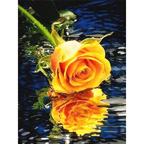 Trayosin 5D Diamant Painting Kit Blumen Diamond Painting Bilder, DIY Diamant Malerei Kinder Erwachsene Diamant Painting Bilder für Room Wall Décor (goldene Rose,30x40cm) von Trayosin