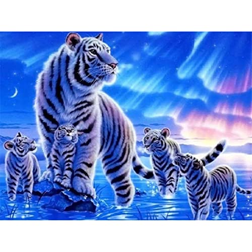 Trayosin DIY Diamond Painting Kit Tiger, Diamant Painting Bilder Groß für Erwachsene Kinder, 5D Diamant Malerei Strass Stickerei für Home Wall Decoration Geschenk (40x30cm) von Trayosin