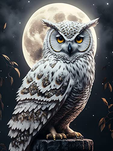 Trayosin Diamond Painting Eule, 5D Diamond Painting Kits für Erwachsene Kinder, DIY Diamant Painting Eule Bilder Stickerei Malerei Kits für Home Wall Decor (Mondschein Eule,40x50cm) von Trayosin