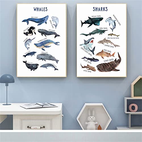 Trayosin Meerestiere Poster Kinderzimmer Bilder für Junge und Mädchen Delfin Poster Deko Kinderposter Tiere Lernen Wandbild (20x30cm) von Trayosin