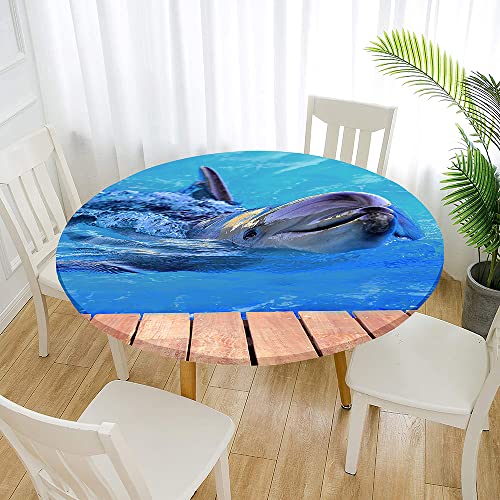 Treer 3D Elastische Tischdecke Rund Abwaschbar, Delfin Druck Outdoor Picknick Spanntischdecke Rund Gartentischdecke Round Tischdecke mit Gummizug für Küche, Picknick (Delfin 77,70cm) von Treer