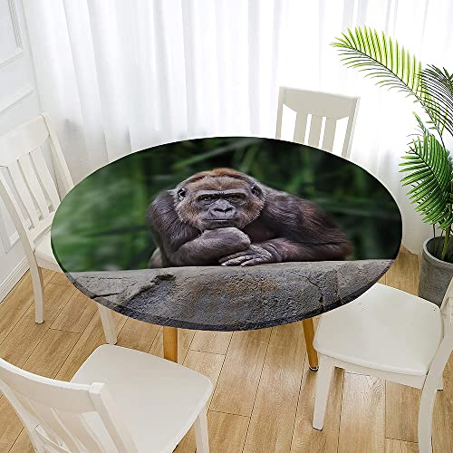 Treer 3D Elastische Tischdecke Rund Abwaschbar, Spanntischdecke Rund Gartentischdecke Outdoor Round Tischdecke mit Gummizug für Esszimmer, Küche und Picknick (Orang-Utan 2,150cm) von Treer